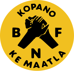BNF Logo
